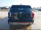 Hyundai PALISADE Calligraphy Image 16