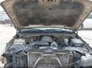 Chevrolet Silverado 1500 Ls Image 14