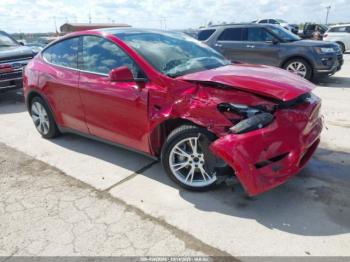  Salvage Tesla Model Y