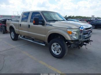  Salvage Ford F-250