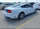 Ford Mustang Ecoboost Fastback Image 7
