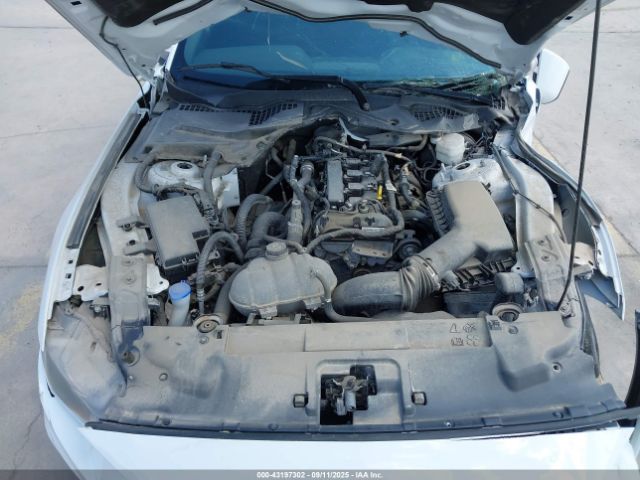 Ford Mustang Ecoboost Fastback Image 8