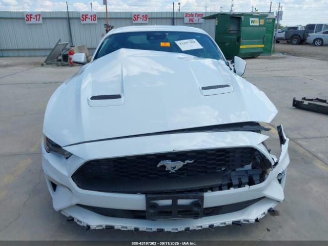 Ford Mustang Ecoboost Fastback Image 11