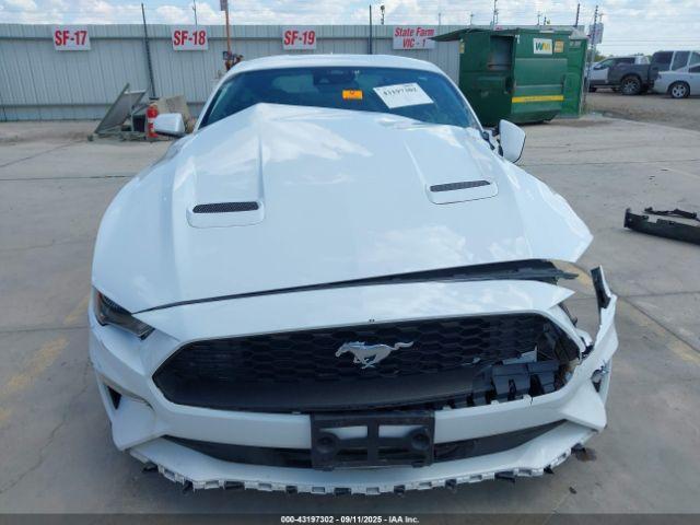 Ford Mustang Ecoboost Fastback Image 11