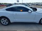 Ford Mustang Ecoboost Fastback Image 14