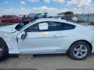 Ford Mustang Ecoboost Fastback Image 9