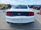 Ford Mustang Ecoboost Fastback Image 12
