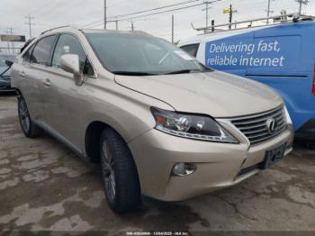 Salvage Lexus RX