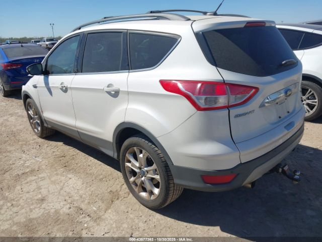 Ford Escape Sel Image 2