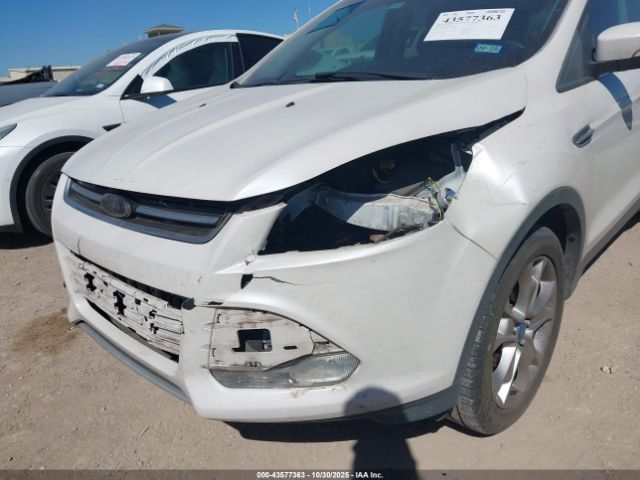 Ford Escape Sel Image 10