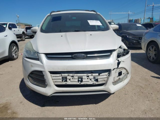 Ford Escape Sel Image 8