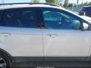 Ford Escape Sel Image 12