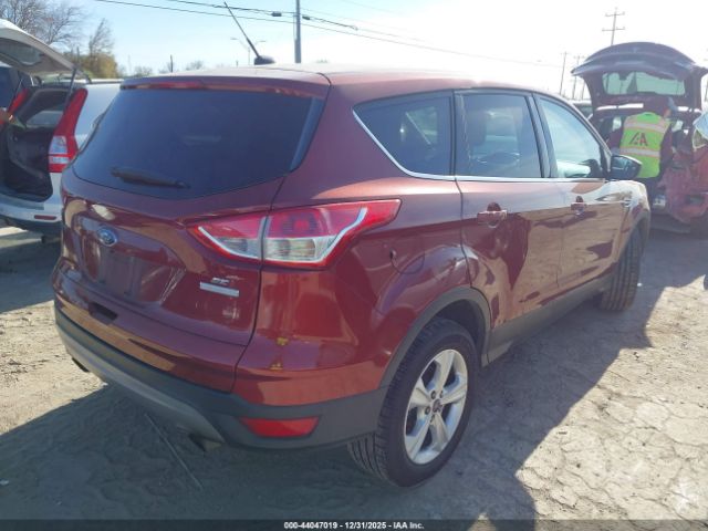 Ford Escape Se Image 12