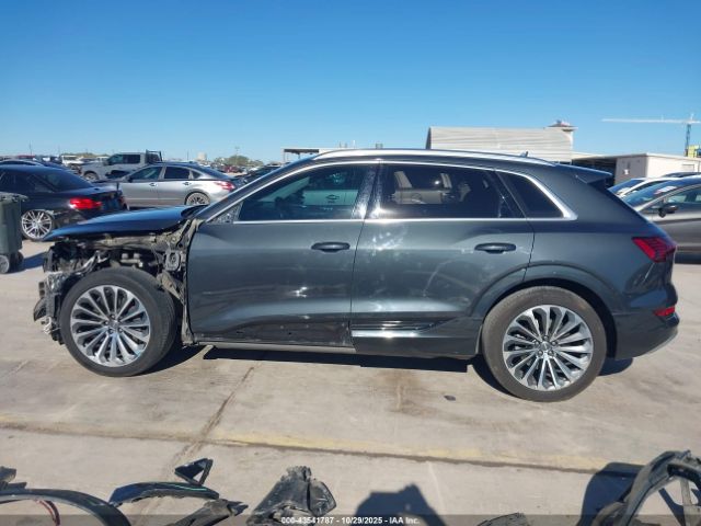 Audi e-tron Premium Plus Image 11