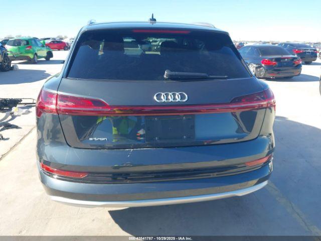 Audi e-tron Premium Plus Image 18