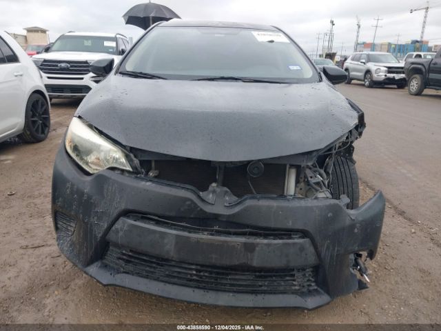 Toyota Corolla Le Image 6