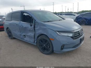  Salvage Honda Odyssey