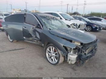  Salvage Nissan Maxima