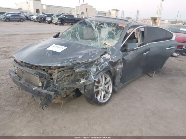 Nissan Maxima 3.5 Sv Image 5