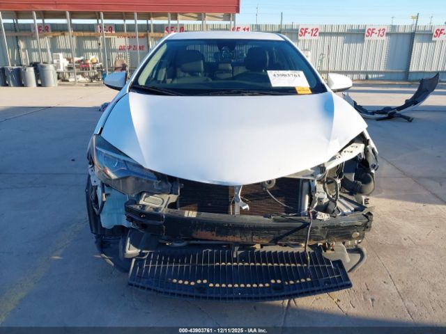 Toyota Corolla Le Image 10