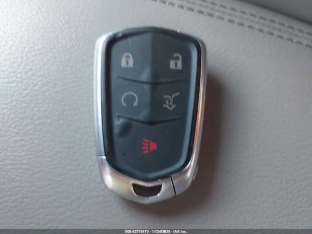 Cadillac XT4 Premium Luxury Image 7