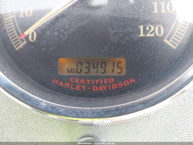 Harley-Davidson Flstci Image 13