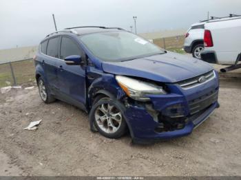  Salvage Ford Escape