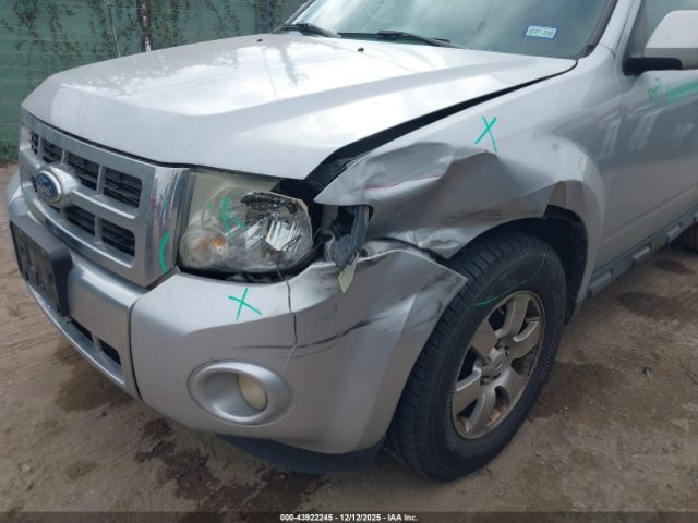 Ford Escape Limited Image 7