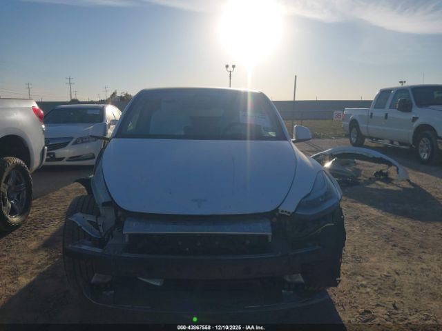 Tesla Model Y Long Range Dual Motor All-wheel Drive Image 16