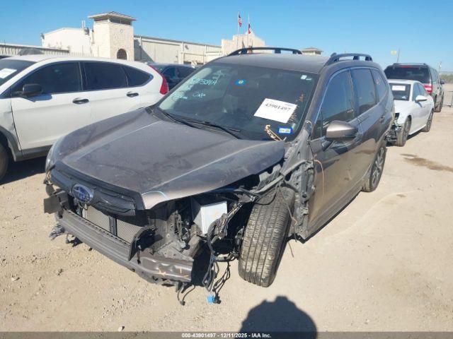 Subaru Forester Limited Image 12