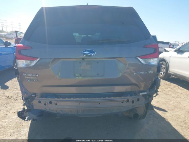 Subaru Forester Limited Image 6