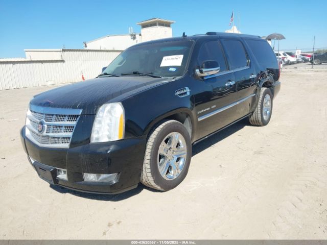 Cadillac Escalade Platinum Edition Image 2