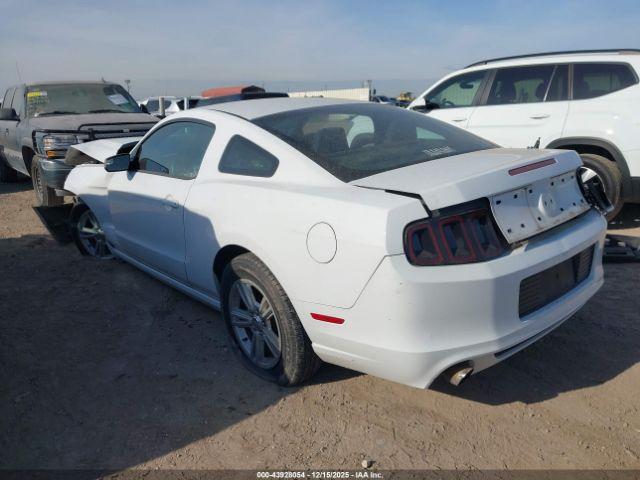Ford Mustang V6 Image 6