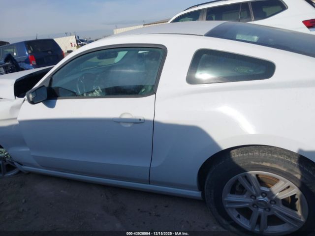 Ford Mustang V6 Image 7