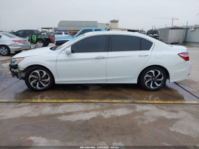 Honda Accord Ex-l V6 Image 10